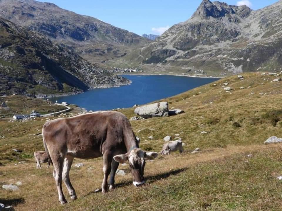 Mansarda Vista lago a Campodolcino Esterno foto